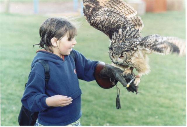 Owl