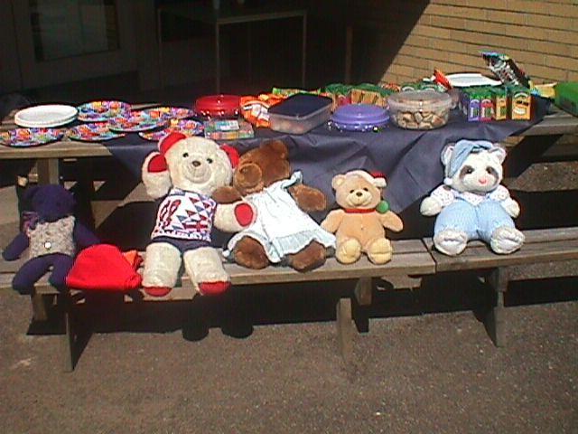Teddy Bear's Picnic